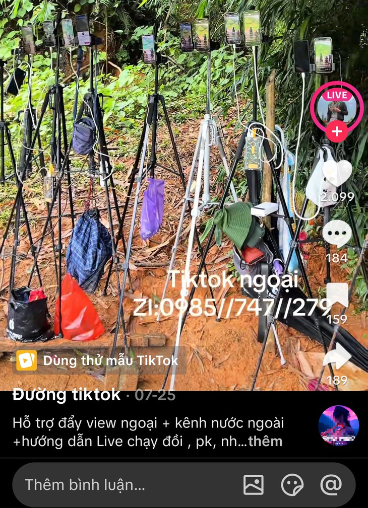 - Ảnh 4.