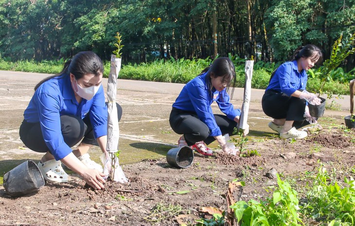 Tuổi trẻ TP.HCM tiên phong chuyển đổi số, kiến tạo những không gian sống xanh và an toàn - Ảnh 3.