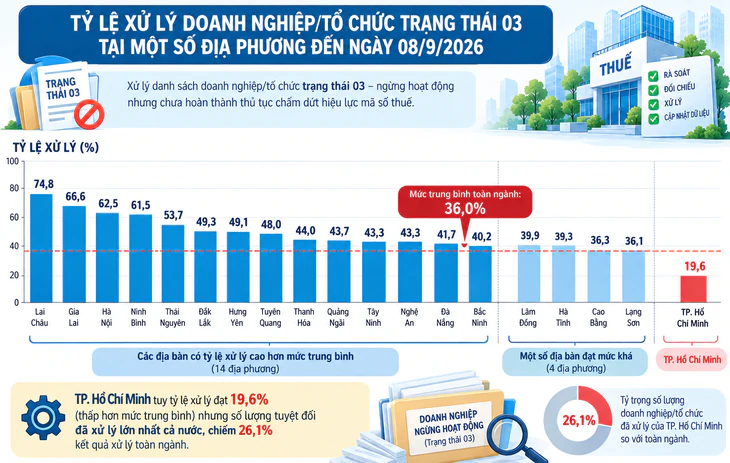 Làm sạch mã số thuế: TP.HCM tỉ lệ xử lý thấp nhưng lại đứng đầu về số tuyệt đối  - Ảnh 1.
