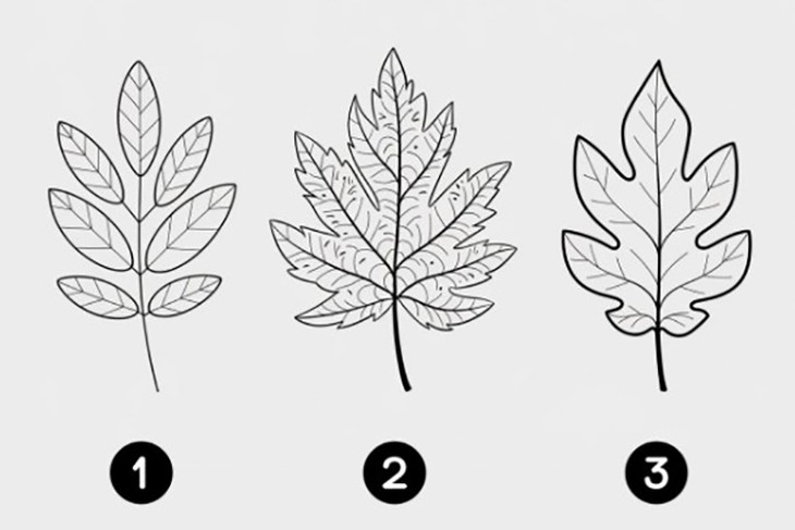 Quiz: Những cơ hội nào đang chờ đón bạn? - Ảnh 1.
