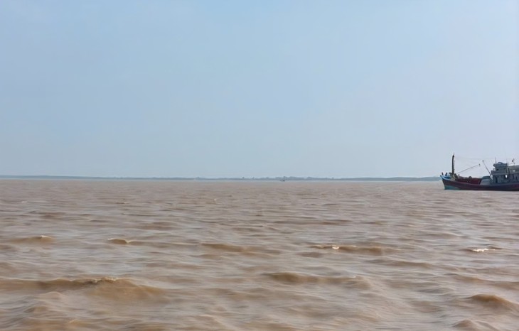 Đang vá lưới, thuyền viên 59 tuổi bất ngờ ngất xỉu và tử vong trên tàu cá ngoài biển - Ảnh 1.