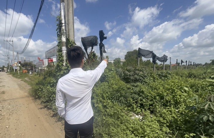 6 năm xin đầu tư cây xăng ở xã Tân Nhựt chưa xong thủ tục quy hoạch - Ảnh 1.