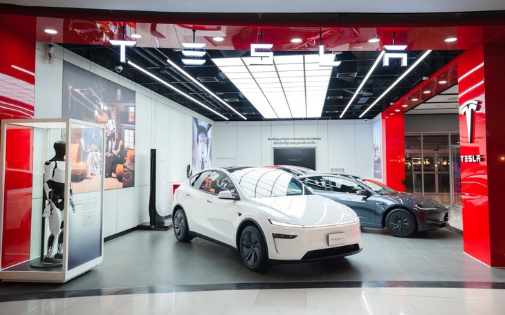 Tesla đang hoạt động thế nào ở Đông Nam Á? - Ảnh 2.