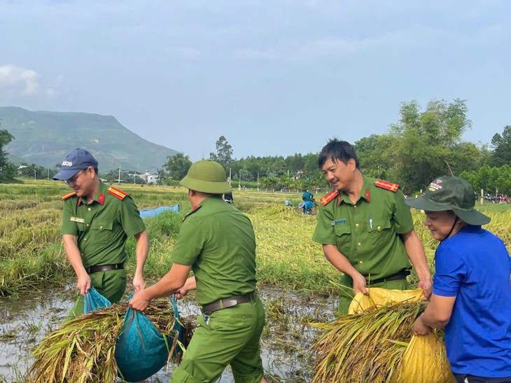 Bí thư, Chủ tịch xã ở Đà Nẵng dẫn 200 cán bộ đi thu hoạch lúa ngã đổ cho dân - Ảnh 4.