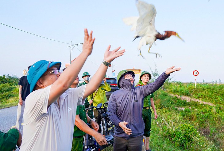 Phá ‘ma trận’ bẫy bắt chim trời, bảo vệ đàn chim mùa di cư - Ảnh 4.