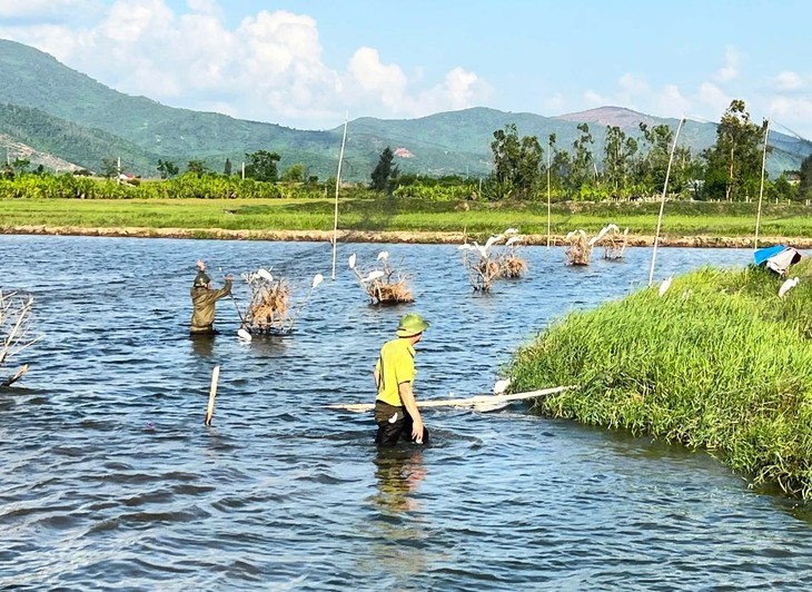 Phá ‘ma trận’ bẫy bắt chim trời, bảo vệ đàn chim mùa di cư - Ảnh 1.