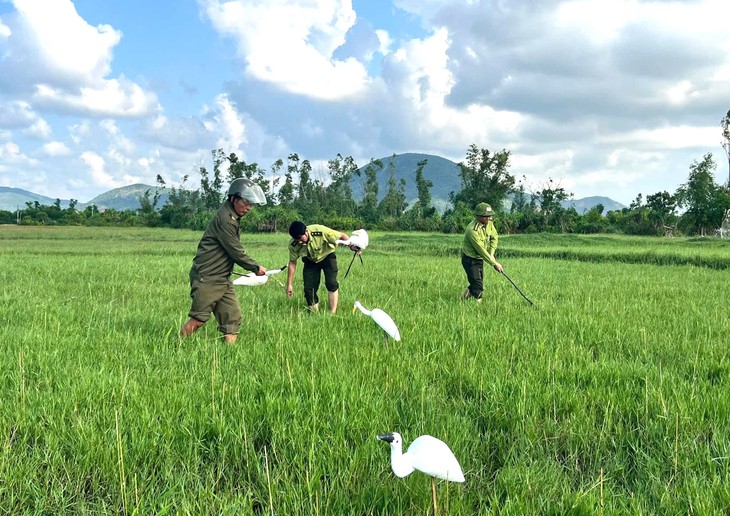 Phá ‘ma trận’ bẫy bắt chim trời, bảo vệ đàn chim mùa di cư - Ảnh 2.