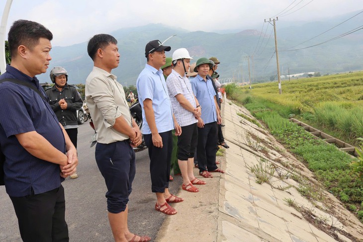 Bí thư, Chủ tịch xã ở Đà Nẵng dẫn 200 cán bộ đi thu hoạch lúa ngã đổ cho dân - Ảnh 6.