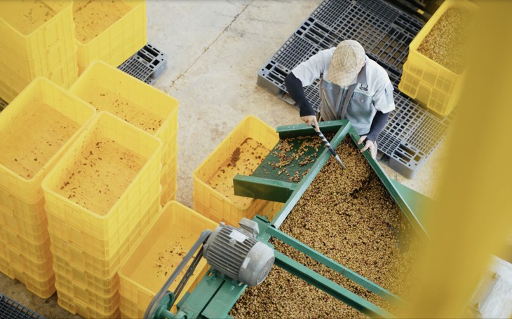 Khám phá “chuẩn hoa hậu” của Robusta - Ảnh 5.
