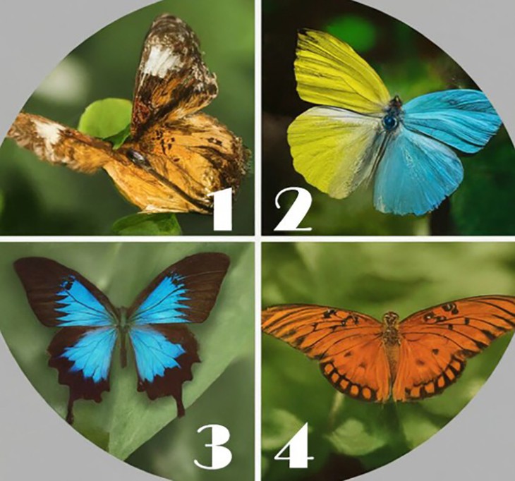 Quiz: Giấc mơ nào đang ẩn chứa sâu trong tâm hồn bạn? - Ảnh 1.