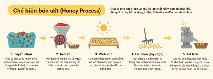 Lên men cà phê: Ở đâu, khi nào và vì sao? - Ảnh 4.
