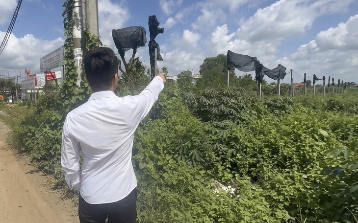 Vụ 6 năm chờ quy hoạch mở cây xăng: Xã Tân Nhựt 'hứa' báo cáo UBND TP.HCM để giải quyết - Ảnh 3.