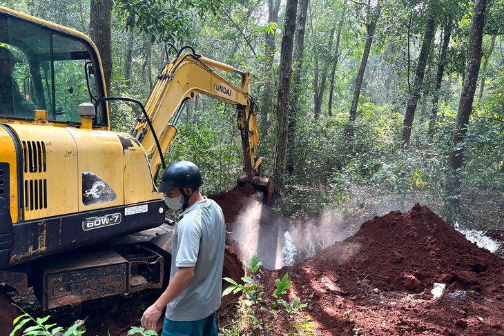 Tiêu hủy đàn heo mắc dịch tả heo châu Phi ở xã Xuân Sơn, TP.HCM - Ảnh 2.