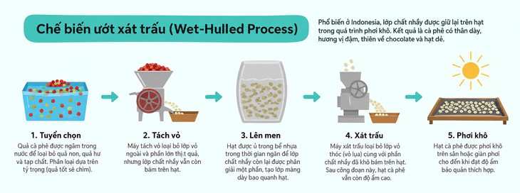 Lên men cà phê: Ở đâu, khi nào và vì sao? - Ảnh 2.