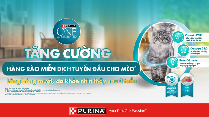 Dấu hiệu mèo được chăm sóc tốt: Khám phá chăm sóc thú cưng hoàn hảo - Ảnh 3.