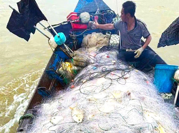 Ngư dân trúng đậm cá chim vàng, thu nhập tiền triệu sau chuyến ra khơi - Ảnh 1.