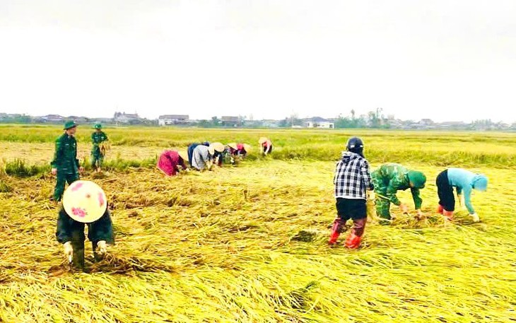 Phụ nữ Đà Nẵng ‘góp lửa yêu thương’ giúp dân gặt lúa chạy mưa  - Ảnh 6.