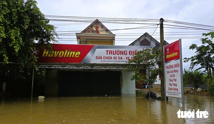 - Ảnh 10.