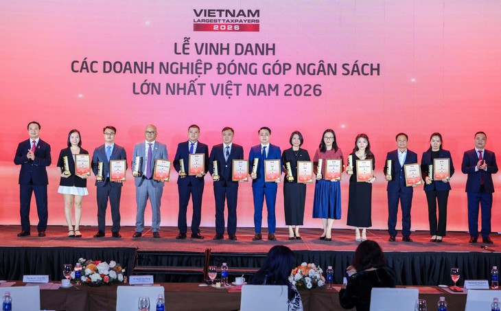 DNSE lọt Top 10 công ty chứng khoán tư nhân nộp ngân sách lớn nhất Việt Nam - Ảnh 3.