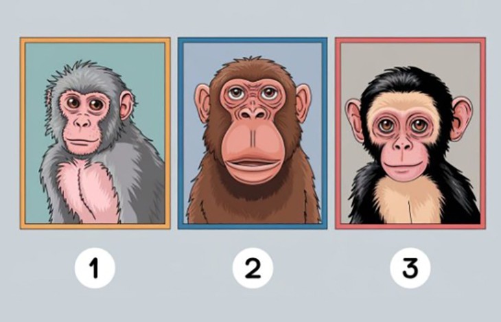 Quiz: Bạn bè đang nhìn nhận bạn thế nào? - Ảnh 1.