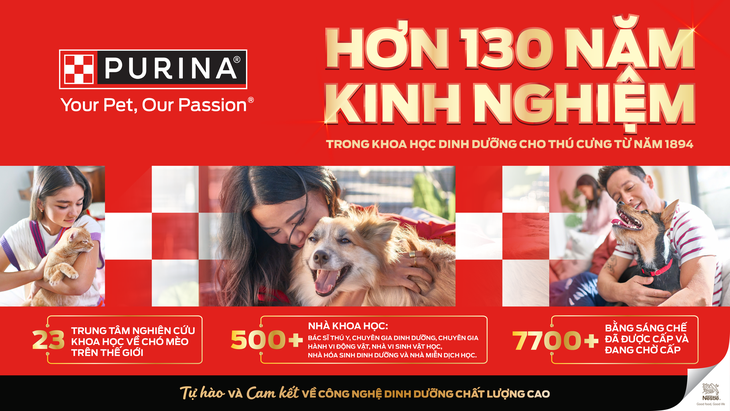 Dấu hiệu mèo được chăm sóc tốt: Khám phá chăm sóc thú cưng hoàn hảo - Ảnh 2.