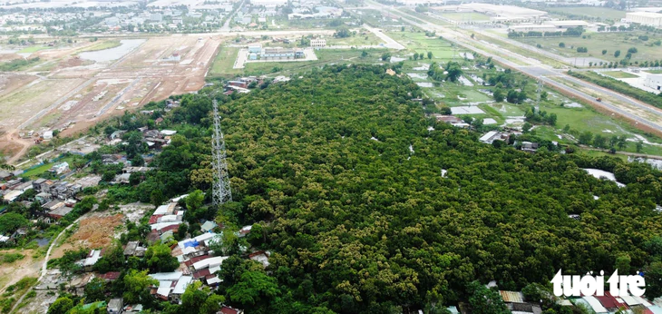 Rừng thiêng độc đáo trong lòng phố Đà Nẵng: Đầu tư 399 tỉ làm hạ tầng, giao thông - Ảnh 1.