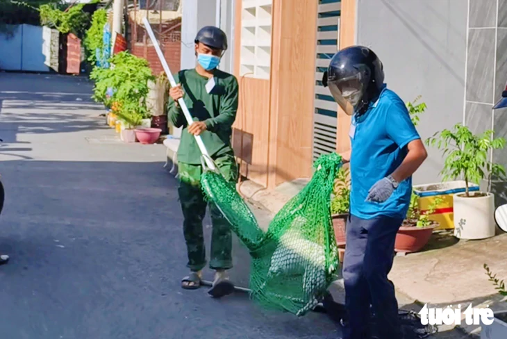Đặc khu Côn Đảo và 24 xã phường ở TP.HCM đã bắt hơn 400 con chó thả rông - Ảnh 2.