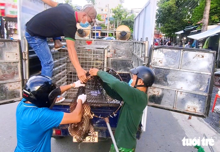 Đặc khu Côn Đảo và 24 xã phường ở TP.HCM đã bắt hơn 400 con chó thả rông - Ảnh 3.