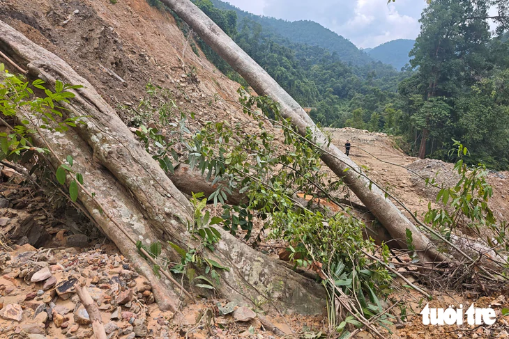 Đất đá, cây rừng lớn chắn ngang đường Nam Đông - A Lưới - Ảnh 2.