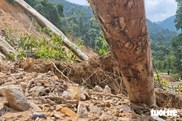 Đất đá, cây rừng lớn chắn ngang đường Nam Đông - A Lưới - Ảnh 9.