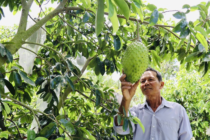 Cần Thơ chuẩn bị ứng phó hạn mặn mùa khô 2026 - 2027 hiệu quả - Ảnh 1.