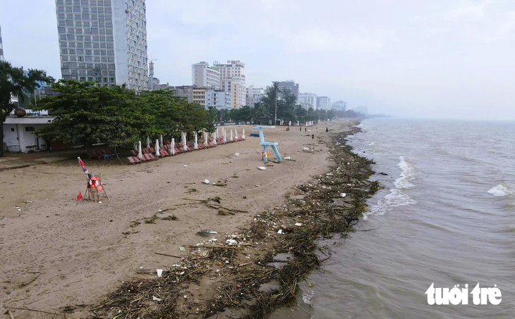Củi, rác phủ kín hơn 5km bãi biển Sầm Sơn - Ảnh 1.