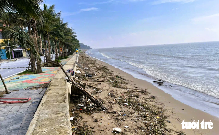 Củi, rác phủ kín hơn 5km bãi biển Sầm Sơn - Ảnh 9.
