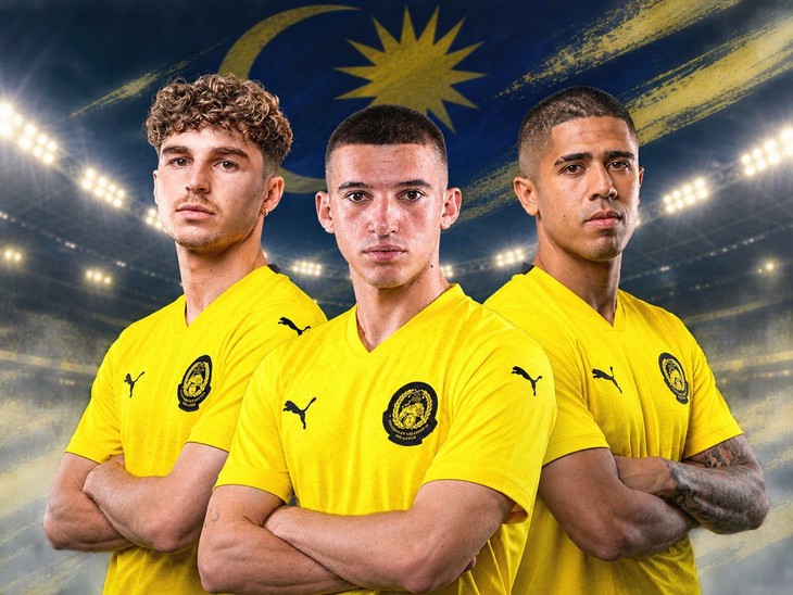 Malaysia công bố đội hình dự FIFA ASEAN Cup, có 3 cầu thủ nhập tịch mới - Ảnh 1.