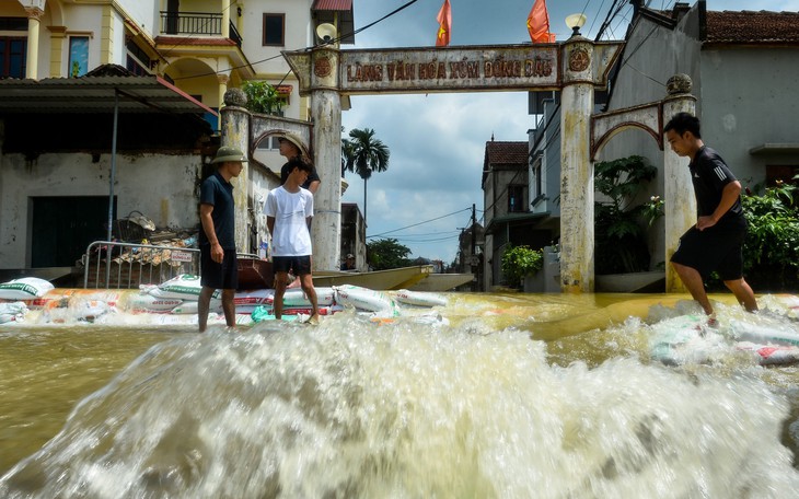 Sông Pheo chậm đưa nước ra sông Nhuệ, dân làng hoa Tây Tựu, Hà Nội chua xót nhìn hoa chết - Ảnh 17.