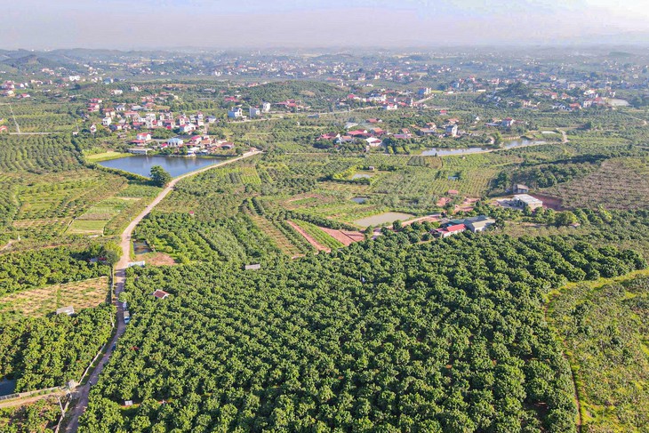 Toàn cảnh Bắc Ninh - thành phố thứ 9 của Việt Nam - Ảnh 27.