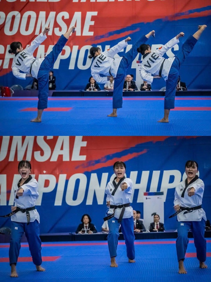  - Ảnh 3.