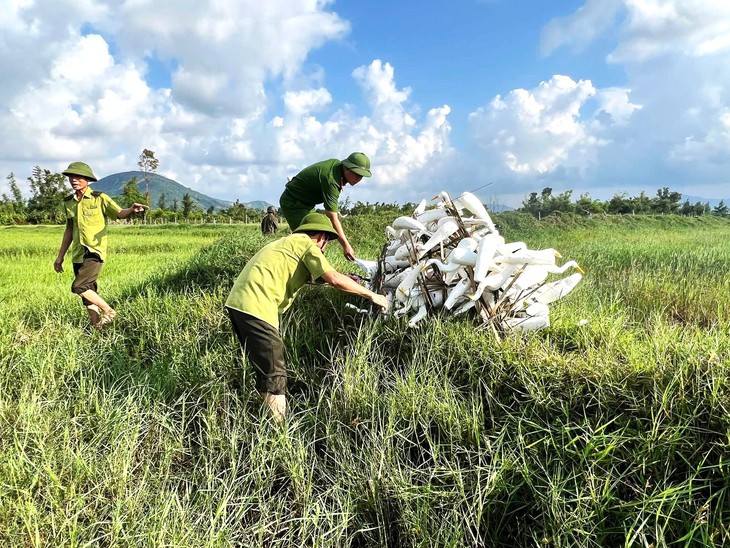 Lội ruộng, ao hồ, phá dỡ 'ma trận' bẫy bắt chim trời mùa di cư - Ảnh 6.