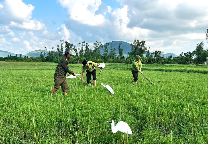 Lội ruộng, ao hồ, phá dỡ 'ma trận' bẫy bắt chim trời mùa di cư - Ảnh 4.