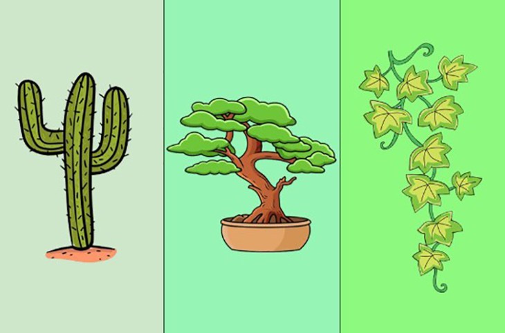 Quiz: Bạn đối mặt với sự thay đổi của cuộc sống như thế nào? - Ảnh 1.