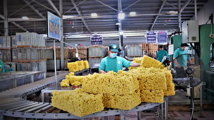Doanh nghiệp cao su lãi lớn nhờ đền bù đất trong nửa đầu năm 2026 - Ảnh
2.