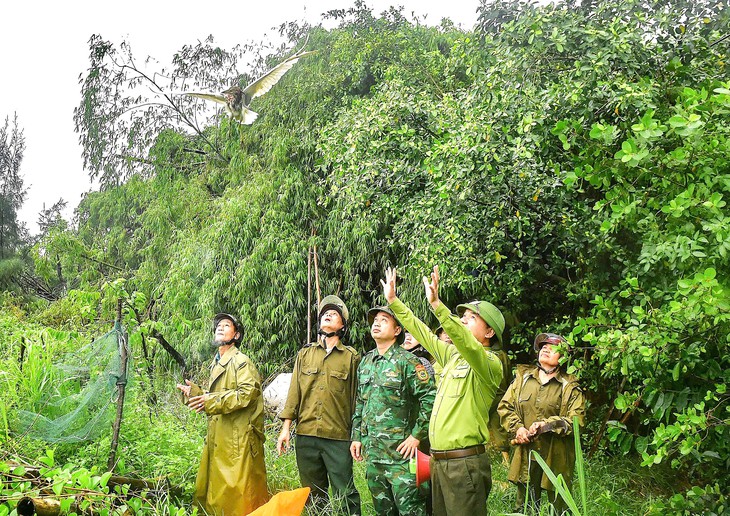 Lội ruộng, ao hồ, phá dỡ 'ma trận' bẫy bắt chim trời mùa di cư - Ảnh 1.