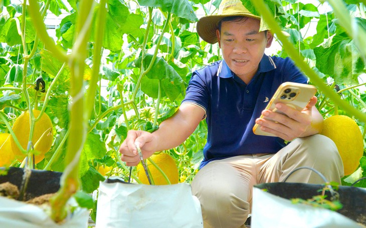 Sinh viên Đồng bằng sông Cửu Long phát triển bền vững với ứng dụng AI năm 2026 - Ảnh 2.