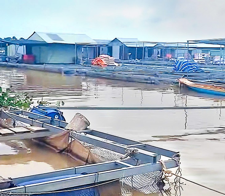 Cha cứu con bị điện giật rồi cùng rơi xuống sông mất tích - Ảnh 2.