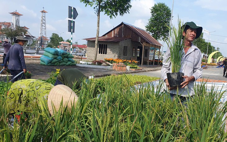 Khánh thành nhà máy đầu tiên tại khu công nghiệp VSIP Cần Thơ - Ảnh 3.