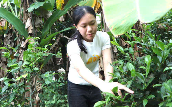 Bạn đọc giúp nữ SV Bách khoa 158 triệu đồng, nhưng lời Như hứa 'nuôi bà' đành dang dở sáng nay... - Ảnh 1.