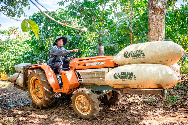Dữ liệu vùng trồng cà phê: Để Robusta Việt chứng minh chất lượng, tính hợp pháp, giá trị bền vững trên trường quốc tế - Ảnh 11.