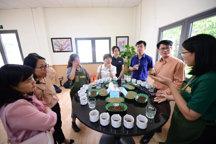 Dữ liệu vùng trồng cà phê: Để Robusta Việt chứng minh chất lượng, tính hợp pháp, giá trị bền vững trên trường quốc tế - Ảnh 7.