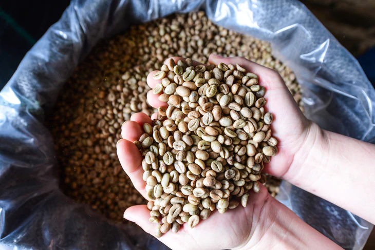 Dữ liệu vùng trồng cà phê: Để Robusta Việt chứng minh chất lượng, tính hợp pháp, giá trị bền vững trên trường quốc tế - Ảnh 9.