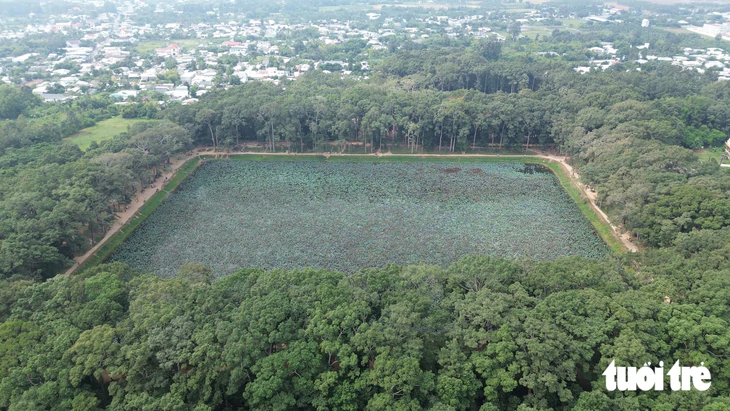 Giới trẻ đổ về Ao Bà Om thuê trang phục Khmer chụp ảnh sau khi ca sĩ Phương Mỹ Chi gây sốt - Ảnh 9.